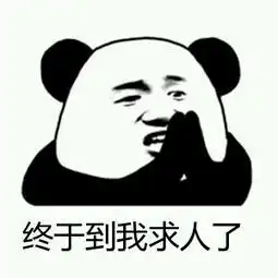 世界奇闻异事之围观啊猪可以辨别人的面部与后脑勺准确率达80