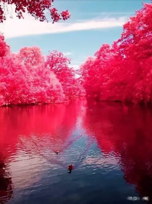 耀眼的景色