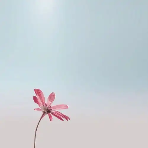 优美句子关于蓝色
