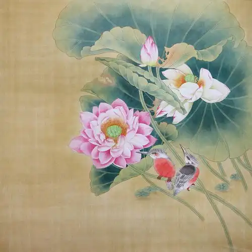 图文教程工笔荷花香风翠羽情意长绘制详解