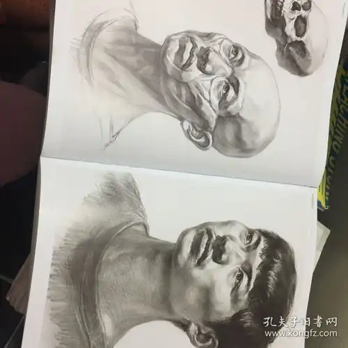 第1线美术高考系列丛书顶尖教学素描头像