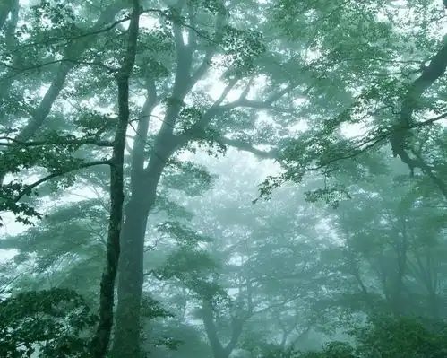 生物雾