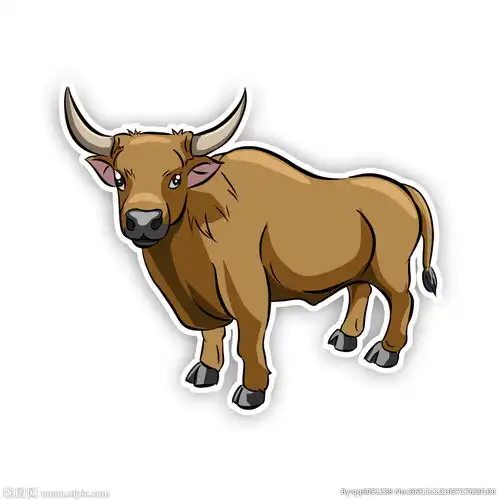 公牛牛动物老牛水牛黄牛犄角牛肉设计图