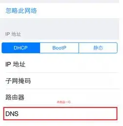 我听着腾讯手机管家的说法把手机上wifi的dns改成四个114以为网速会最快但改了后发现手