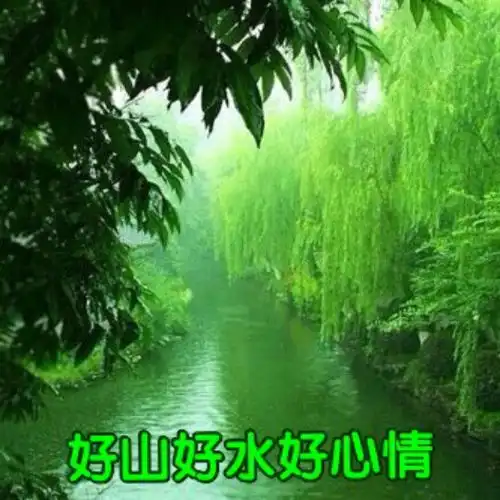 痴心小妹伴奏酷我k歌酷我音乐