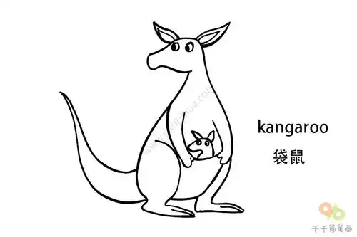 宝宝英文认知动物简笔画大全