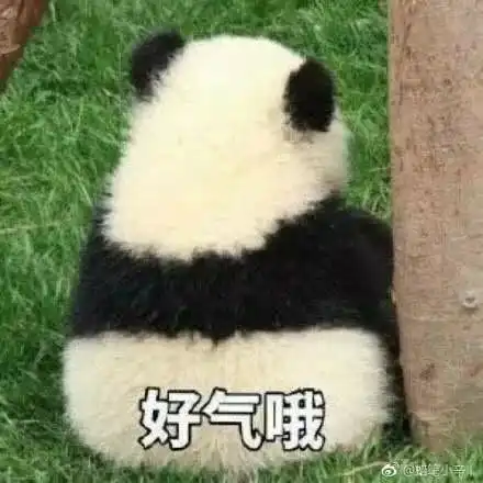 去游个泳,真的可能怀孕吗一图读懂游泳的怪事儿