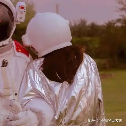 这个头像的另一半是什么