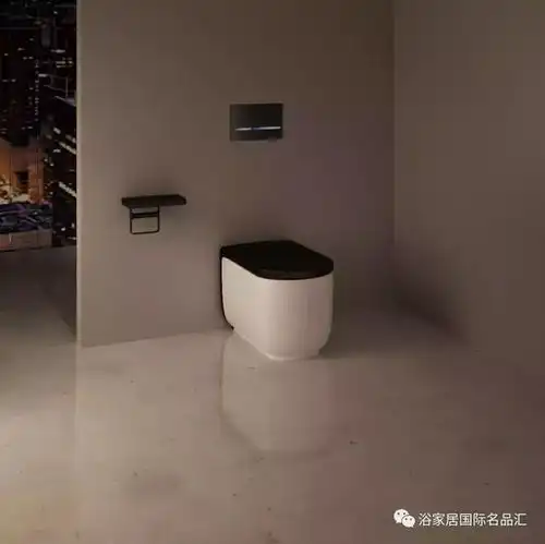浴居黑色元素设计zeva黑色中洋溢着纯粹的优雅气息