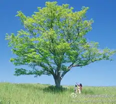 旅行,是人与自然和人文建立沟通的和谐的生存方式