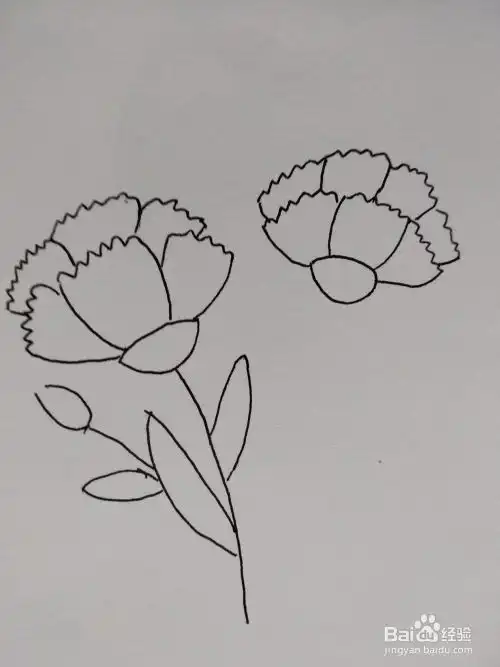 抖音热门小花草简笔画步骤