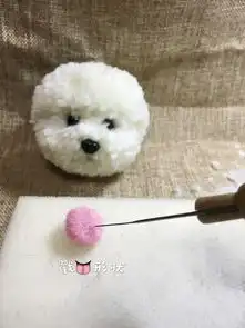 撸个毛球比熊