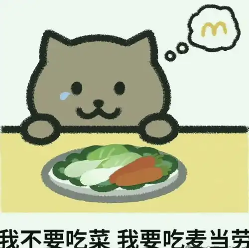 21岁胖猫花51万被分手跳江,前女友朋友圈曝光,聊天记录令人愤怒