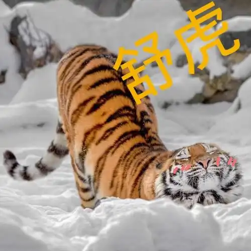 测试一个超长简介的文章