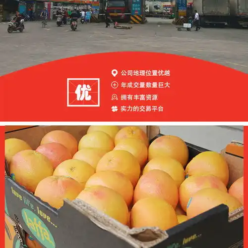 网络114