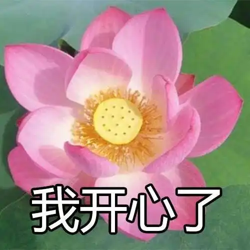 情侣头像女生说滚的时候,男生应该怎么反应