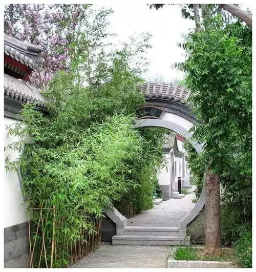 世间最美的院子中式庭院,那是一个桃花源