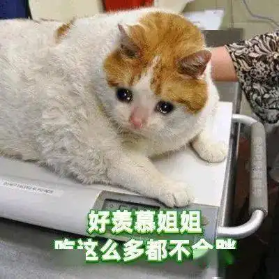 一波绿茶语录合集,这茶味儿太浓了
