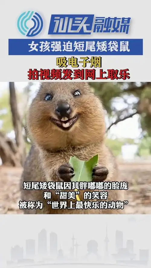 女孩强迫短尾矮袋鼠吸电子烟,拍视频发到网上取乐
