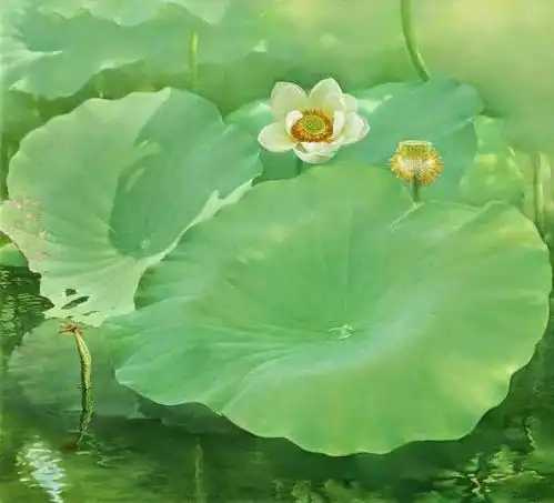 他笔下的荷花,有一种仙气,太美了