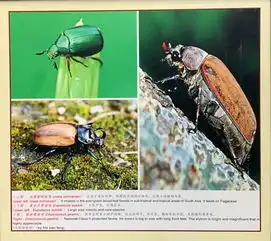 图集从生物多样性主题图片展看大美云南