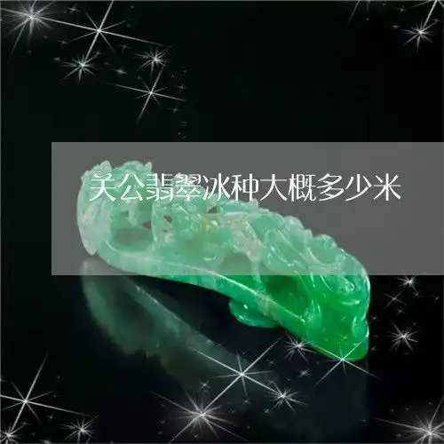 手把手教你关公翡翠冰种大概多少米翡翠关公吊坠多少钱本月推荐今日更新2023已更新翡玉专栏