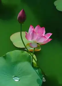 佛说修行,就是修炼一颗感恩的心搜狐文化搜狐网