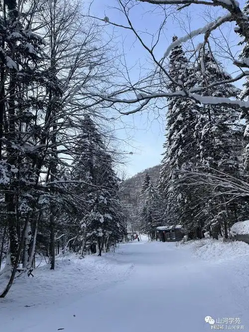 中国雪乡