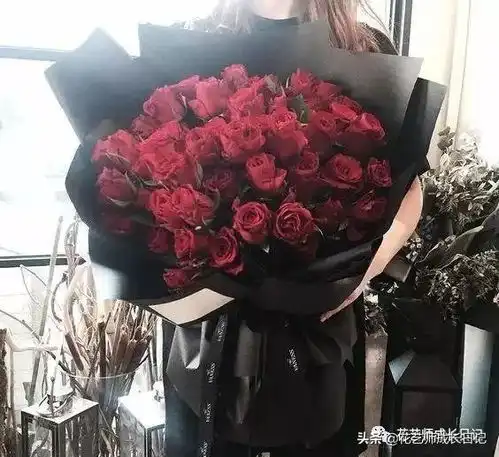从19394朵玫瑰花语加图片大全,送花,原来这么多讲究