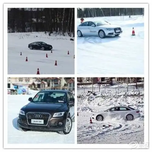 温州红源奥迪暖心随行带您畅游冰雪世界