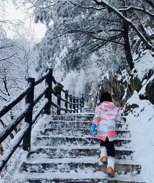 距离郑州3.5小时被称为人间仙境的老君山火啦
