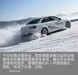 冰雪驭从容2018奥迪驾控汇冰雪嘉年华