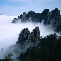 测试一个超长简介的文章