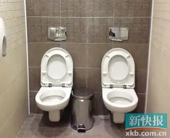 一个门里俩马桶,怎么破