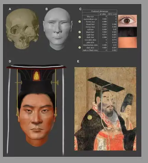 我国科学家复原北周武帝容貌7x24小时财经新闻