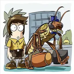 棕发图片