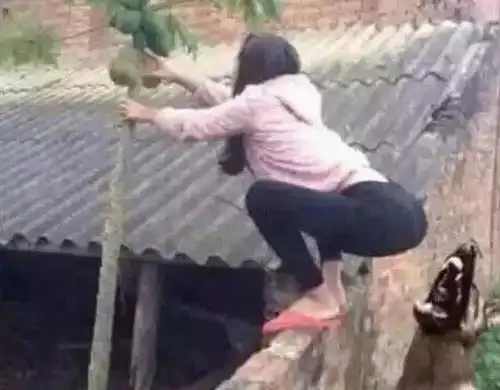 搞笑gif妹子,主人家的狗狗,已经发现你了