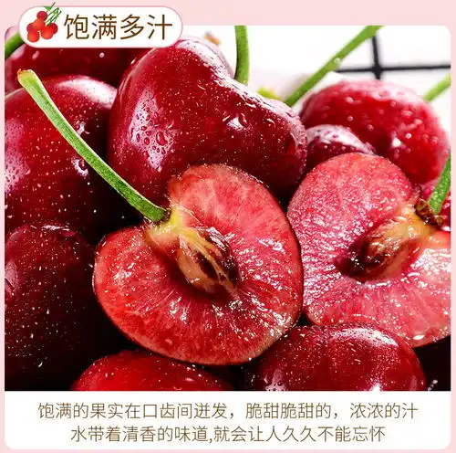 车厘子5斤大连美早樱桃当季水果新鲜应季水果3斤整箱批发
