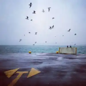 测试一个超长简介的文章