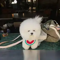 一朵会移动的棉花糖,感觉萌到了骨子里