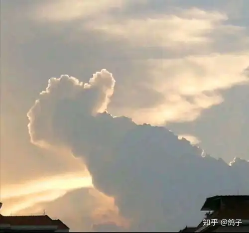显卡掉频严重是为什么