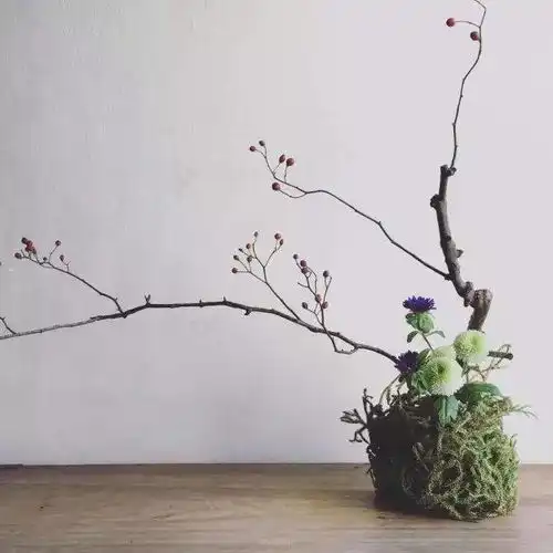 禅意花开,静忘尘世