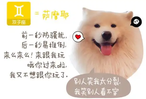 超准解析12星座的专属狗脾气,处女座竟然