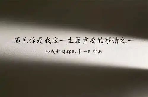你戴面具的时间太长,都不记得面具下是什么样子了,v字仇杀队