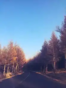 周末想兜风拍公路大片soeasy记录2015年春秋两玩草原天路