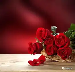 人生行吟许巧如做一枚有钻劲的芽站在春天的枝头组诗