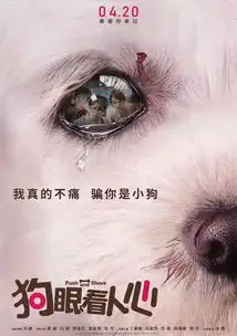 哭片屡出爆款,这部戳中铲屎官泪点的新片有机会吗
