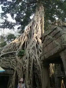 吃完不知道宵夜还是晚餐的团餐,我们就回酒店洗洗睡了据说第二天是最最艰辛的一天