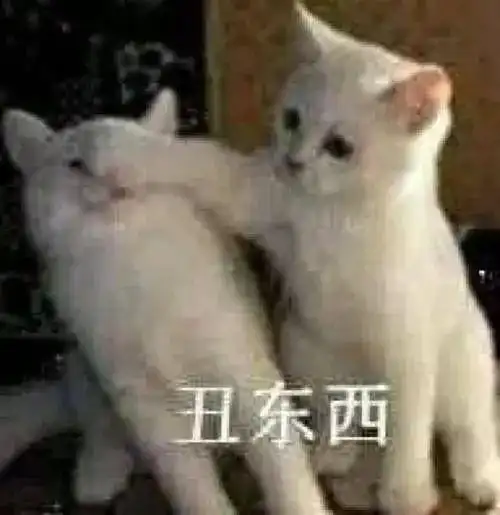 别看了,买的越多错的越多说的就是你