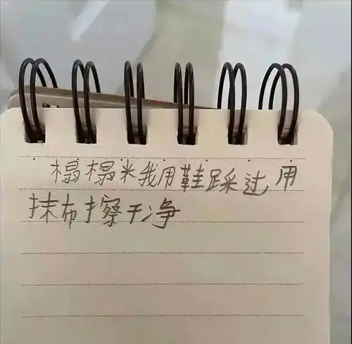 14岁女孩坠亡,1500字遗书曝光若有来世,我们不要再见面了